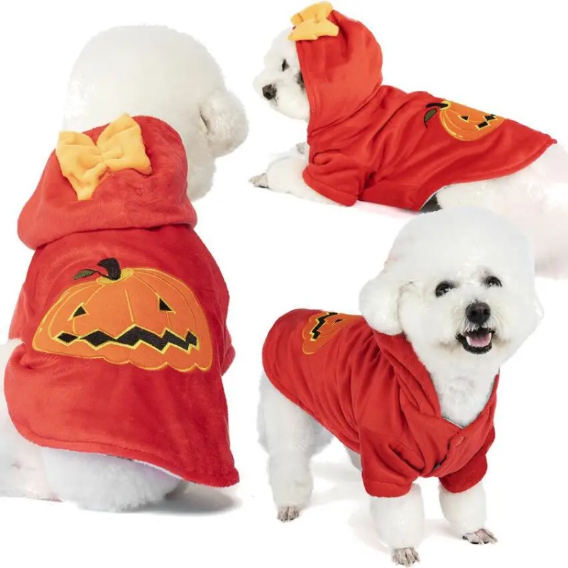 Winter Clothing Photo - Pet new outfit pumpkin festival dog