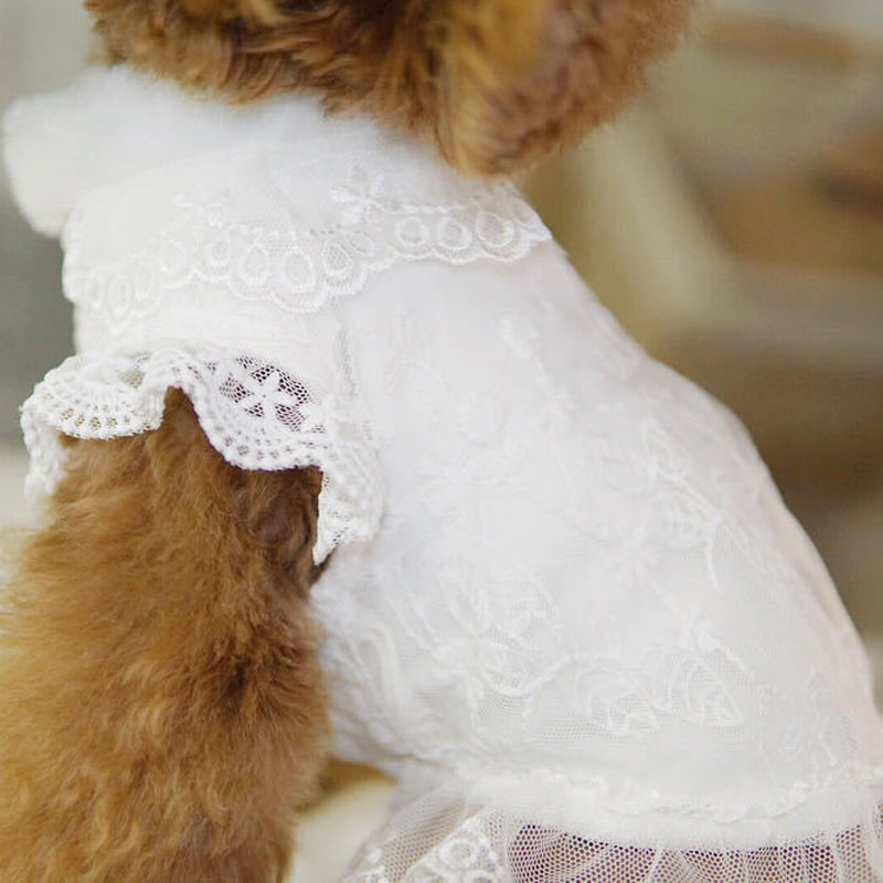 White Dog Clothes Winter Fur C - огляд і ціна Winter Clothing Kids