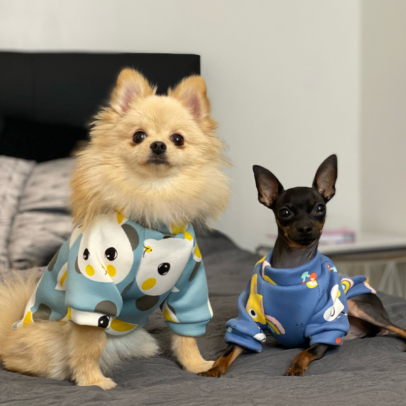 Xs Dog Clothes for Small Dogs  - огляд і ціна Winter Clothing Kids