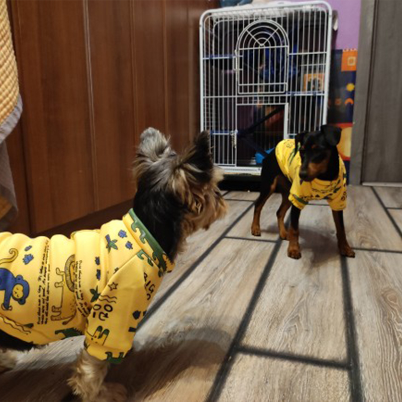 Xs Dog Clothes for Small Dogs  - огляд і ціна Winter Clothing Kids