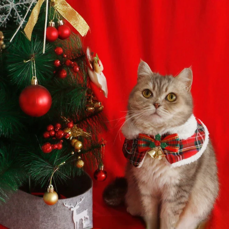 Warm Teddy Collar Pet Scarf Ca - огляд і ціна Winter Clothing English